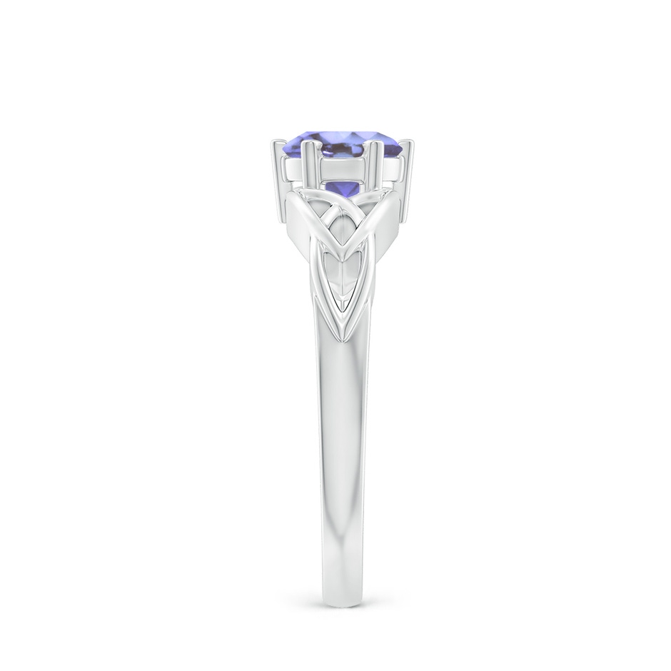 6mm AA Solitaire Round Tanzanite Celtic Knot Ring in White Gold side-2