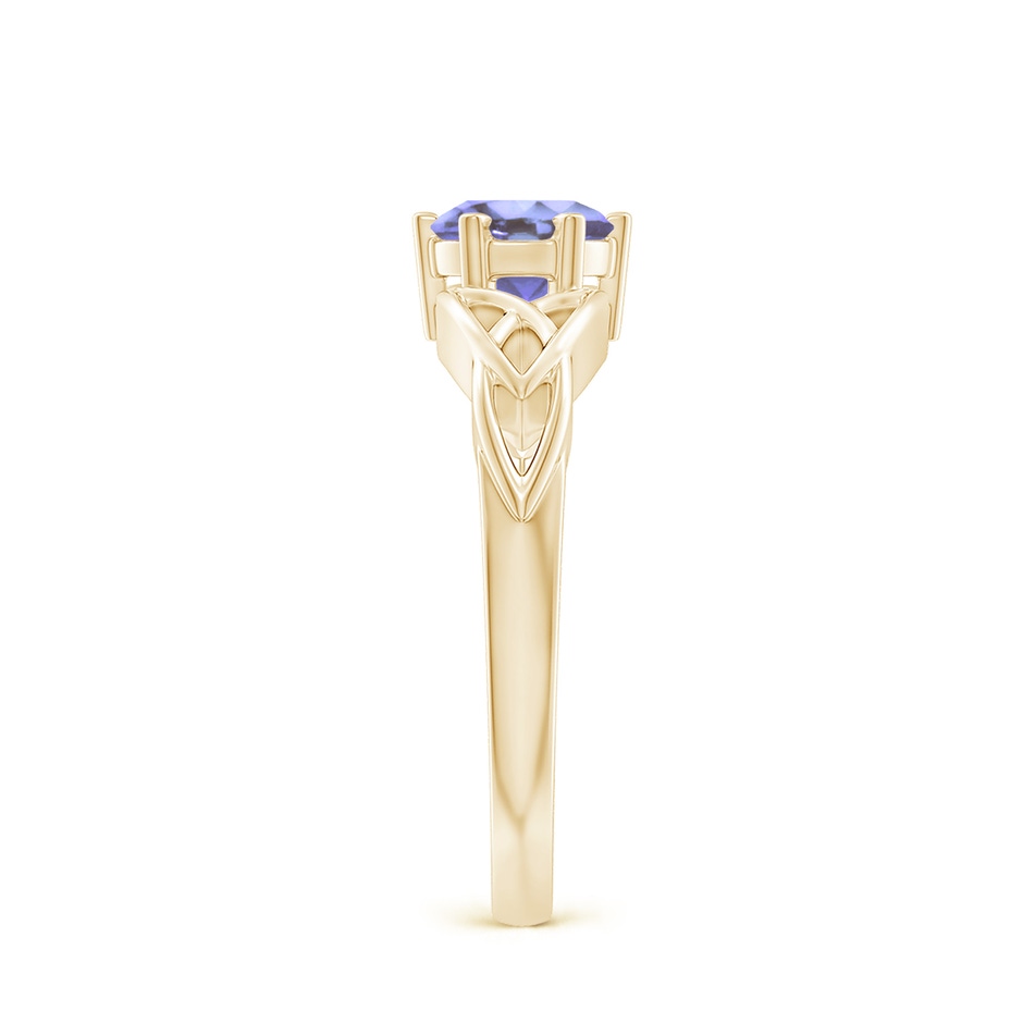 6mm AA Solitaire Round Tanzanite Celtic Knot Ring in Yellow Gold side-2