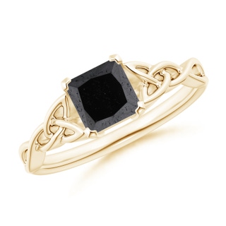 Princess A Enhanced Black Diamond