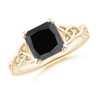 Princess A Enhanced Black Diamond