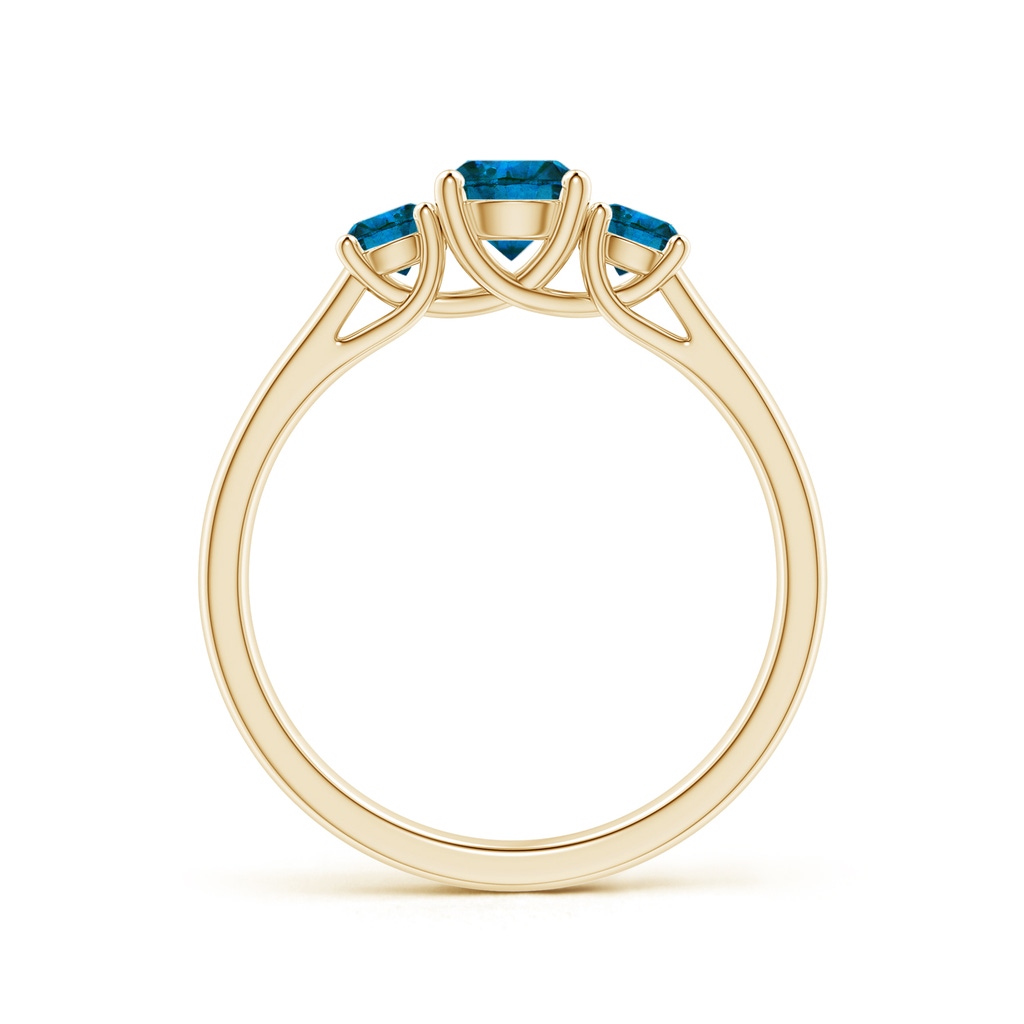 5.1mm AAA Three Stone Round Blue Diamond Engagement Ring in Yellow Gold - side_1
