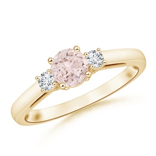 Round A Morganite