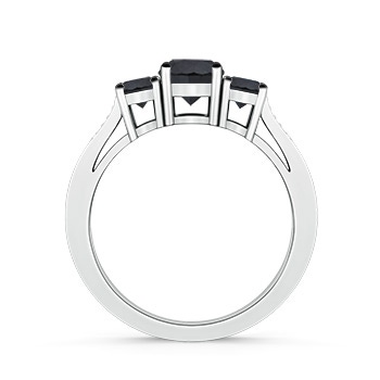 5.5mm AA Cathedral Three Stone Enhanced Black Diamond Engagement Ring in White Gold Product Image