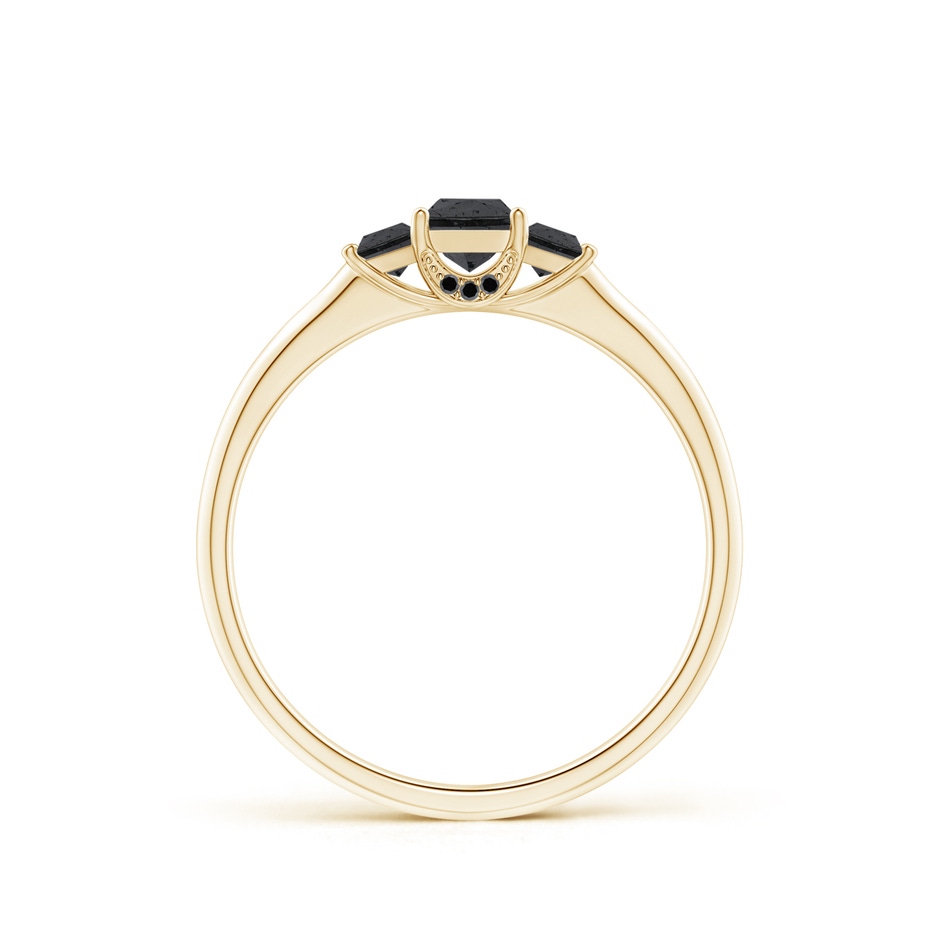 3.6mm A Classic Princess-Cut Enhanced Black Diamond Engagement Ring in 9K Yellow Gold product image