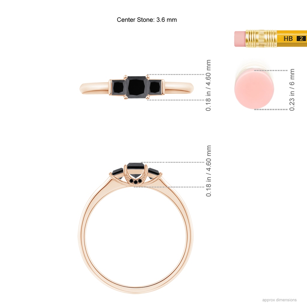 3.6mm AA Classic Princess-Cut Enhanced Black Diamond Engagement Ring in Rose Gold Product Image