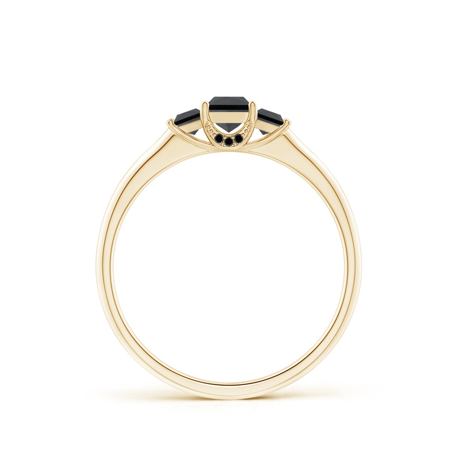 3.6mm AA Classic Princess-Cut Enhanced Black Diamond Engagement Ring in Yellow Gold product image