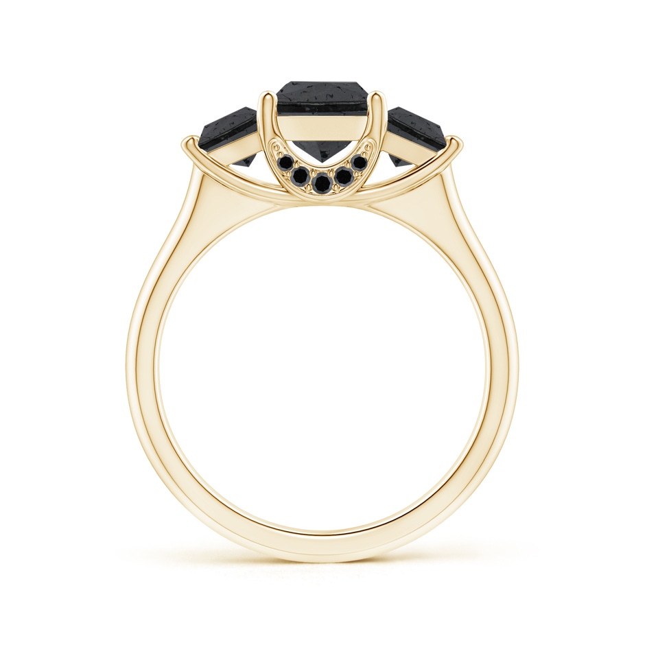 5.8mm A Classic Princess-Cut Enhanced Black Diamond Engagement Ring in Yellow Gold product image
