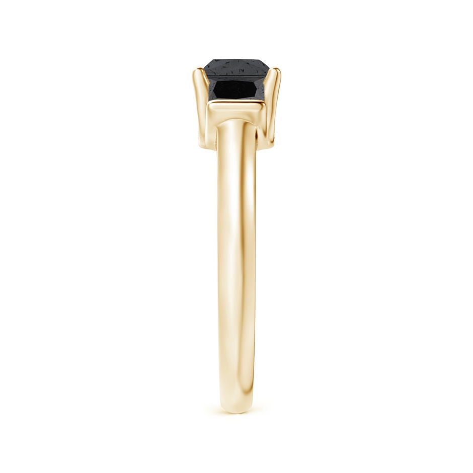 5.8mm A Classic Princess-Cut Enhanced Black Diamond Engagement Ring in Yellow Gold product image