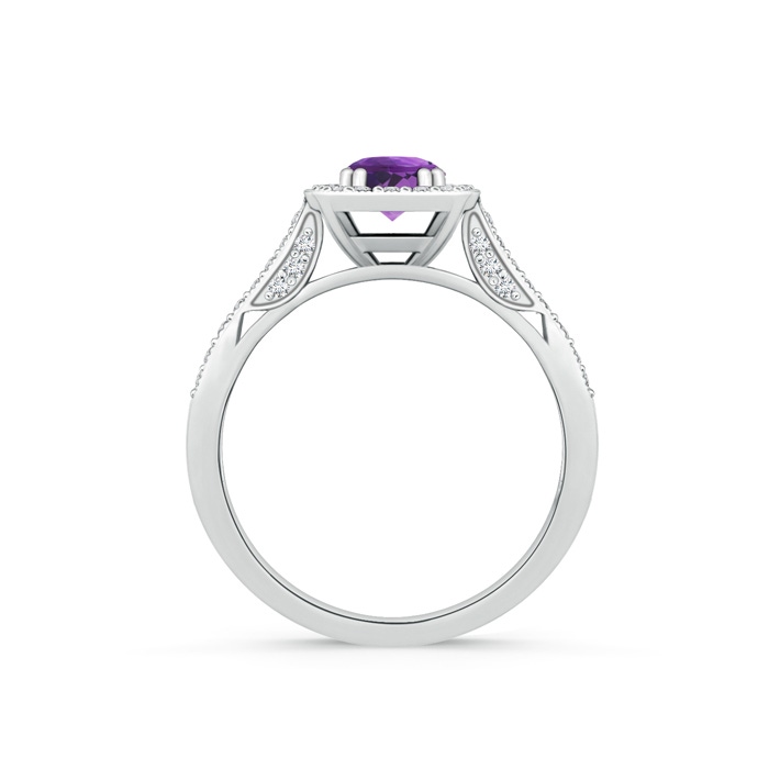 5mm AAA Round Amethyst Cushion Halo Ring with Milgrain in White Gold Product Image