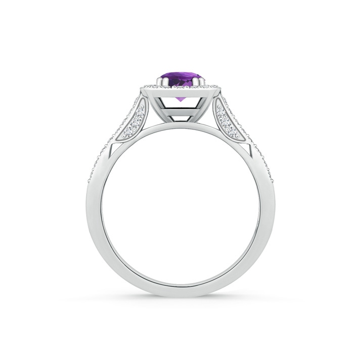 5mm AAA Round Amethyst Cushion Halo Ring with Milgrain in White Gold product image