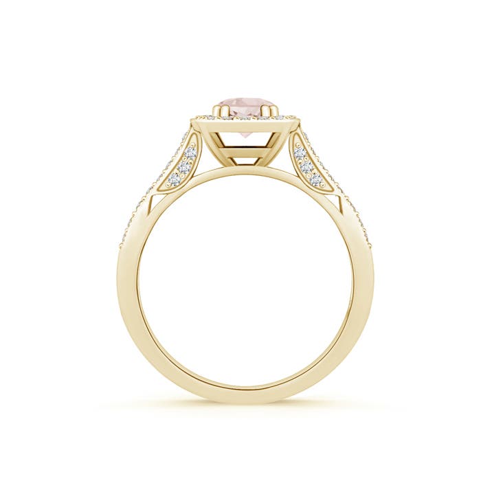 A - Morganite / 0.7 CT / 14 KT Yellow Gold