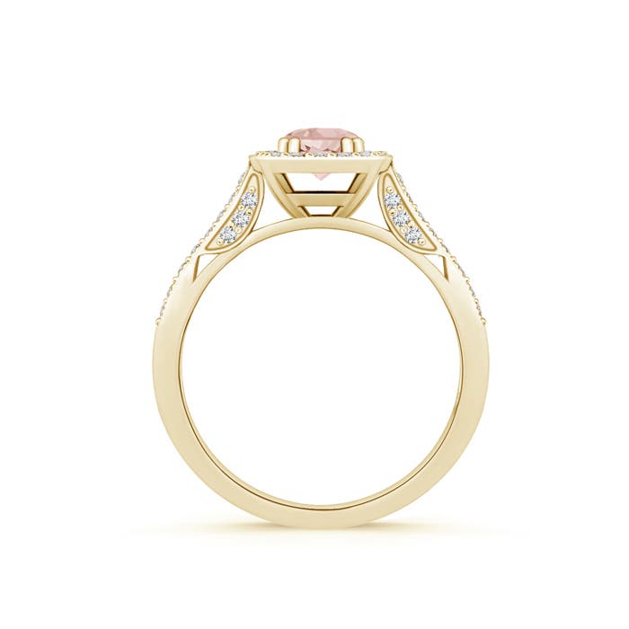 AAA - Morganite / 0.7 CT / 14 KT Yellow Gold