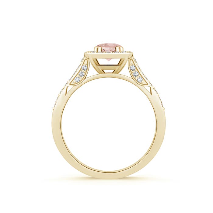 AAAA - Morganite / 0.7 CT / 14 KT Yellow Gold