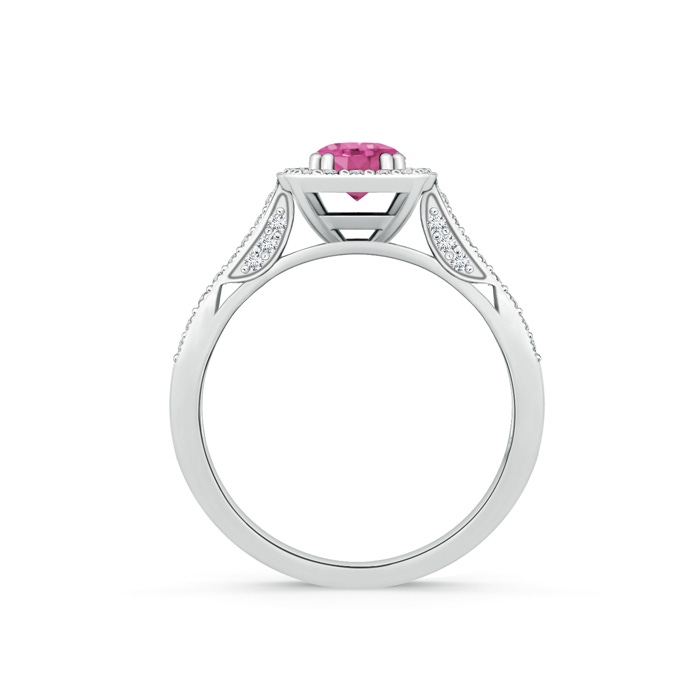 5mm AAA Round Pink Sapphire Cushion Halo Ring with Milgrain in White Gold Product Image