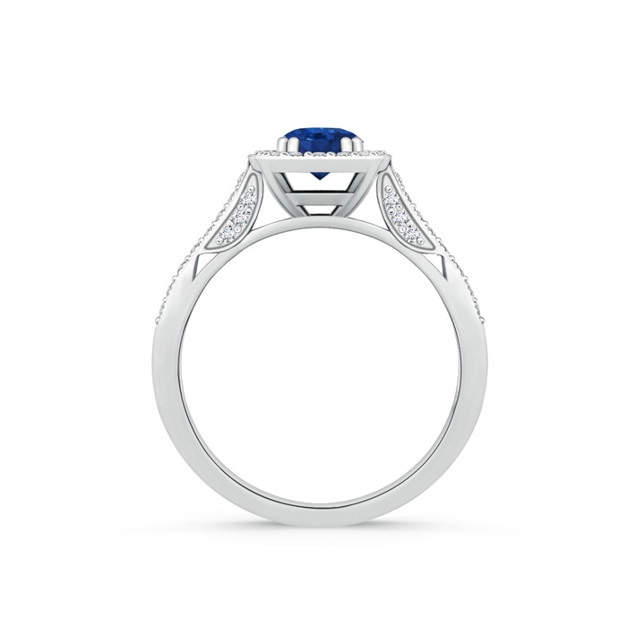 5mm AAA Round Sapphire Cushion Halo Ring with Milgrain in P950 Platinum product image
