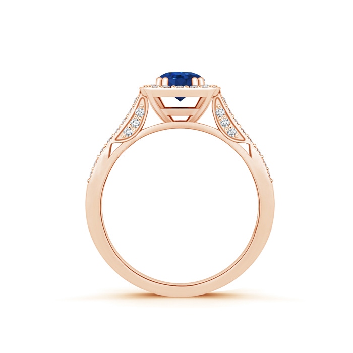 5mm AAA Round Sapphire Cushion Halo Ring with Milgrain in Rose Gold Product Image