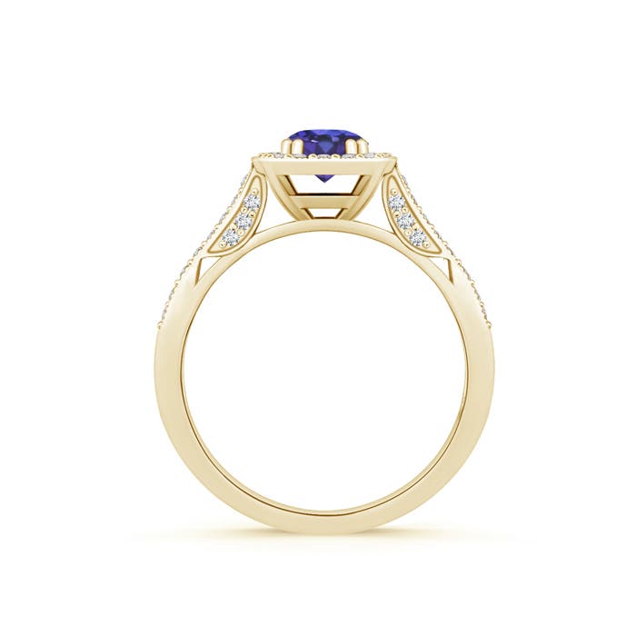 AAA - Tanzanite / 0.78 CT / 14 KT Yellow Gold