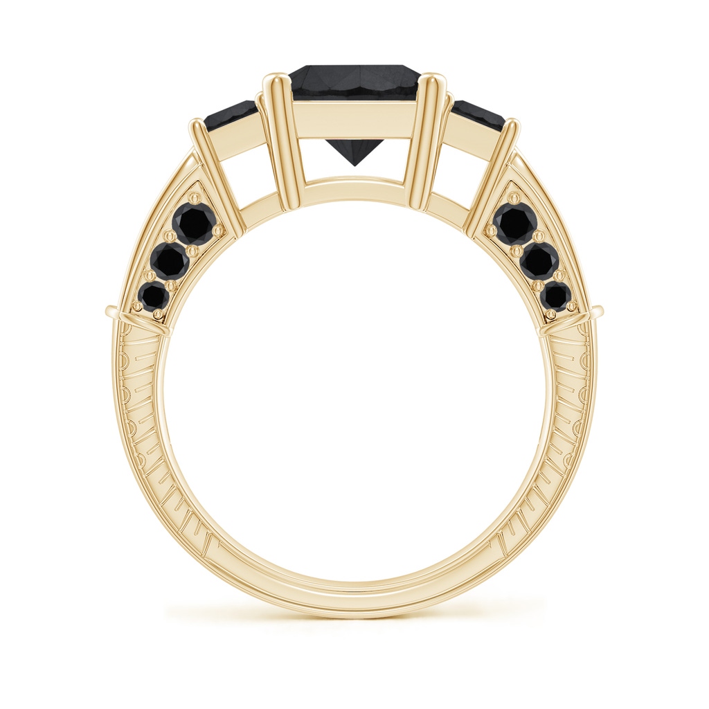 7.3mm AA Princess-Cut Black Diamond Three Stone Ring in Yellow Gold - side_1