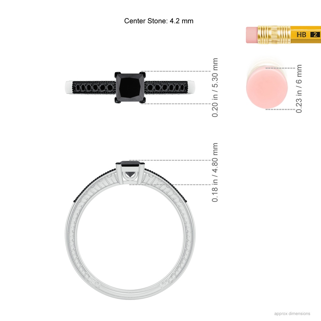 4.2mm AA Princess Cut Black Diamond Solitaire Ring with Milgrain Detailing in P950 Platinum Ruler