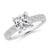 2 5/8 carats
