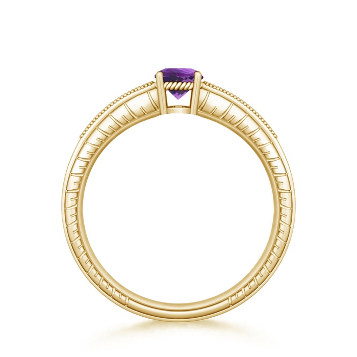 5mm AAA Round Amethyst Solitaire Ring with Milgrain in Yellow Gold product image