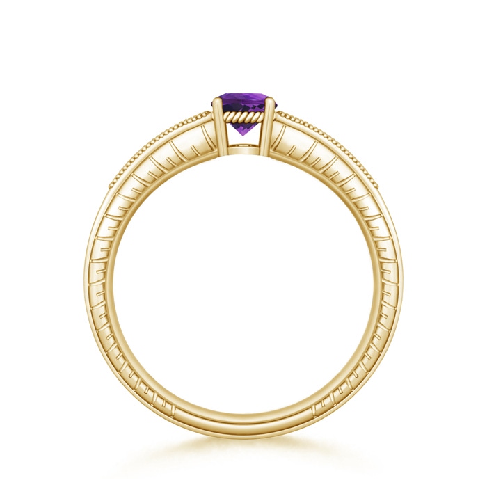 5mm AAAA Round Amethyst Solitaire Ring with Milgrain in Yellow Gold product image