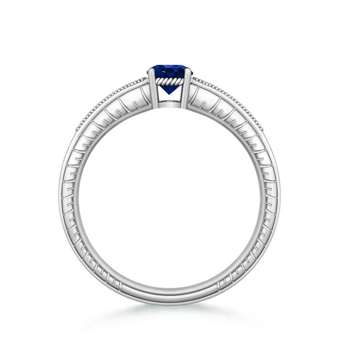 AAAA - Blue Sapphire / 0.66 CT / 14 KT White Gold