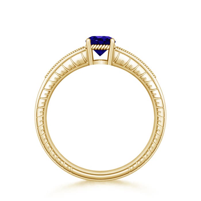 AAAA - Tanzanite / 1.04 CT / 14 KT Yellow Gold