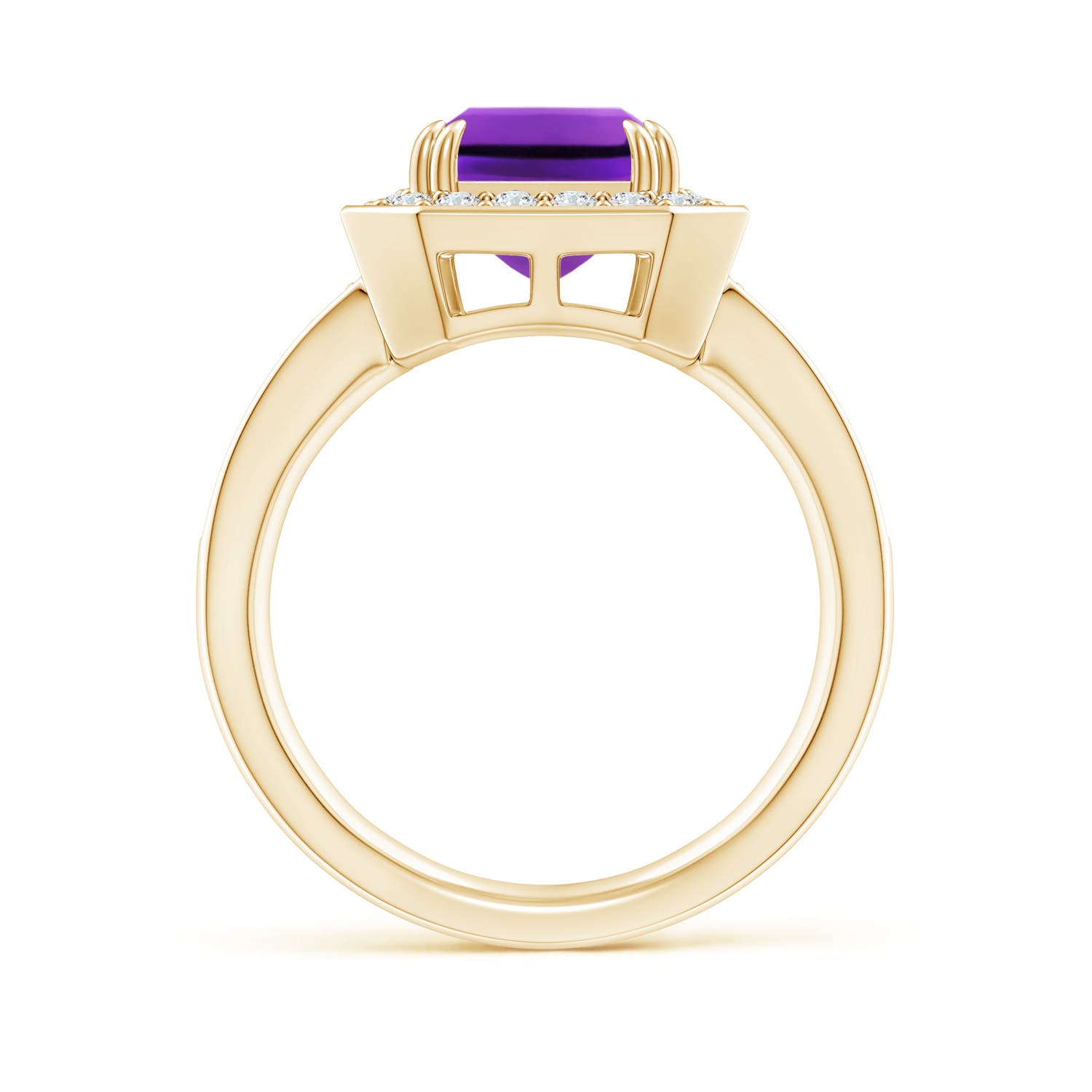 AAAA - Amethyst / 3.35 CT / 14 KT Yellow Gold