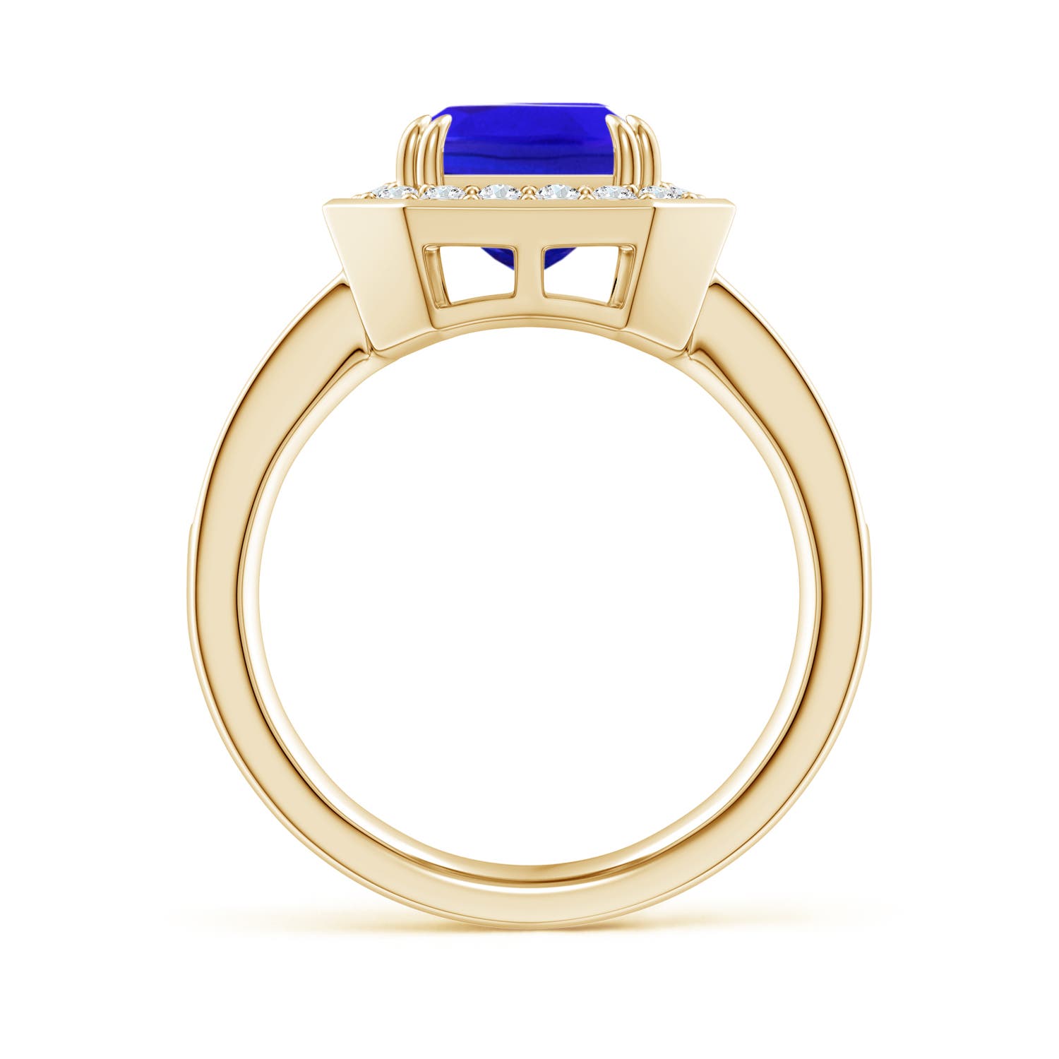 AAA - Tanzanite / 3.6 CT / 14 KT Yellow Gold