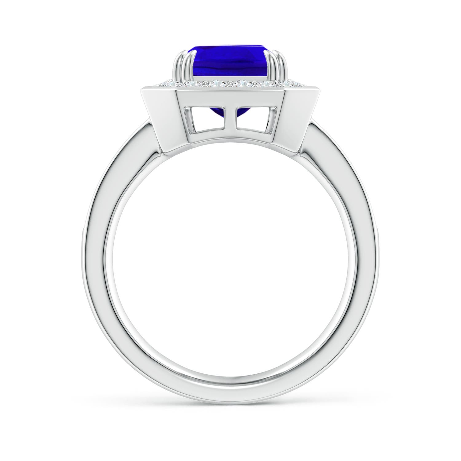 AAAA - Tanzanite / 3.6 CT / 14 KT White Gold