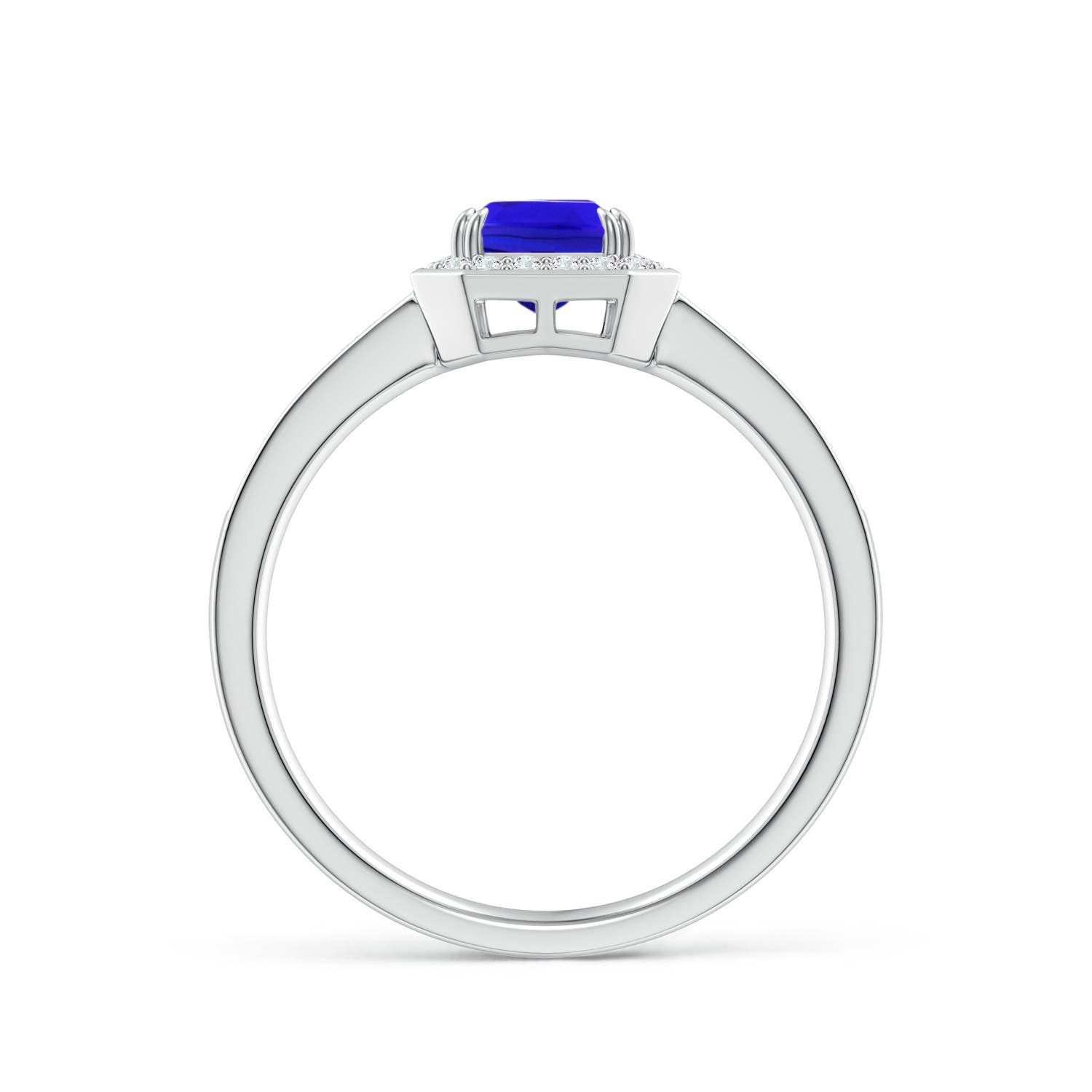 AAA - Tanzanite / 1.19 CT / 14 KT White Gold