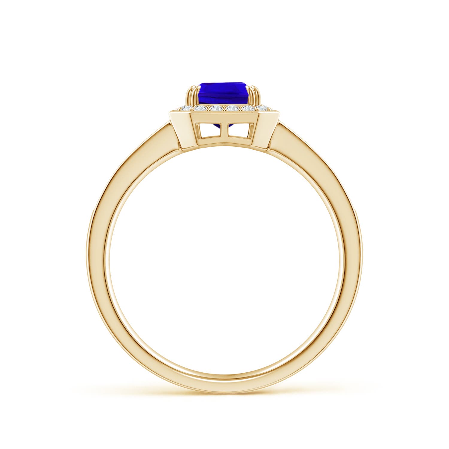 AAAA - Tanzanite / 1.19 CT / 14 KT Yellow Gold