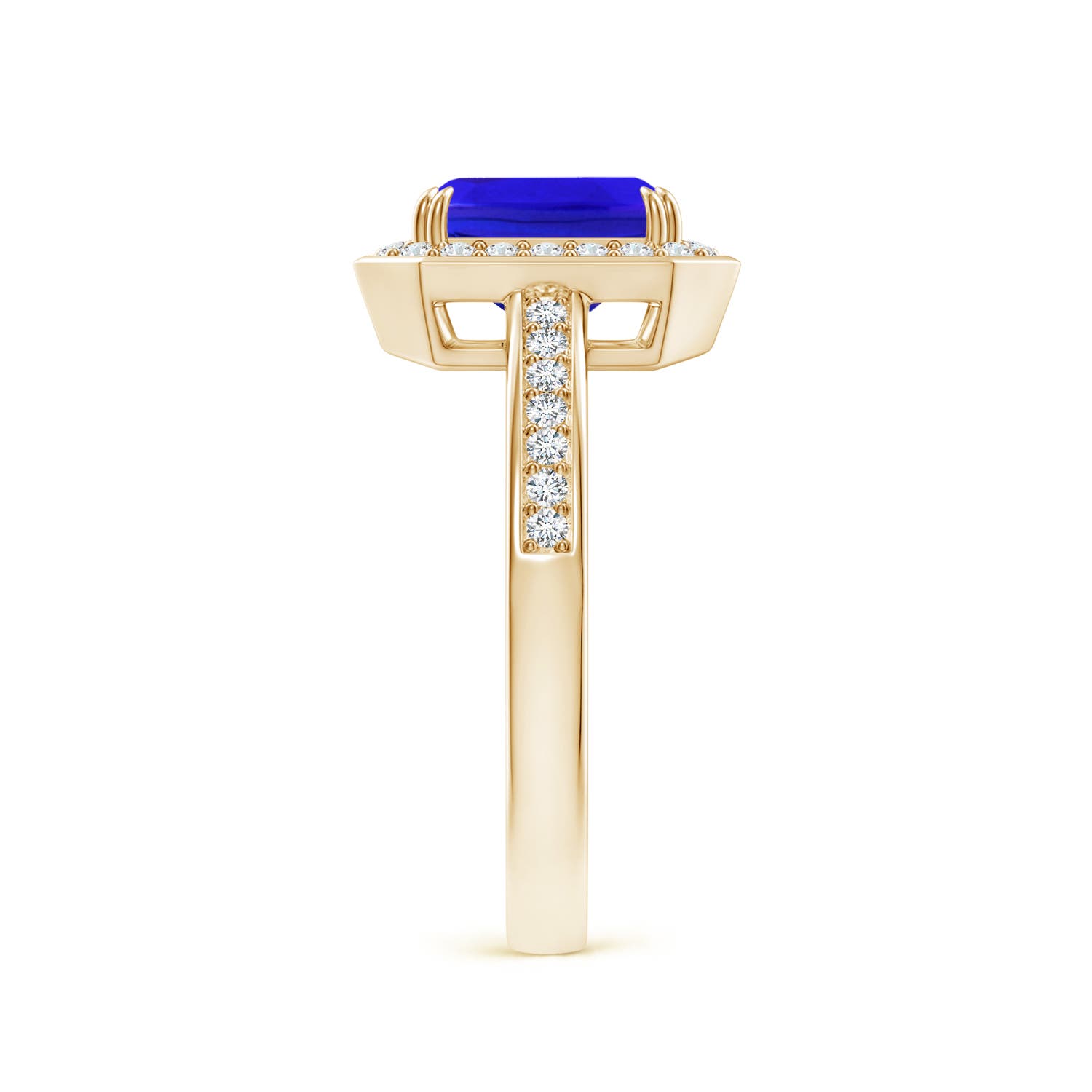 AAA - Tanzanite / 1.79 CT / 14 KT Yellow Gold