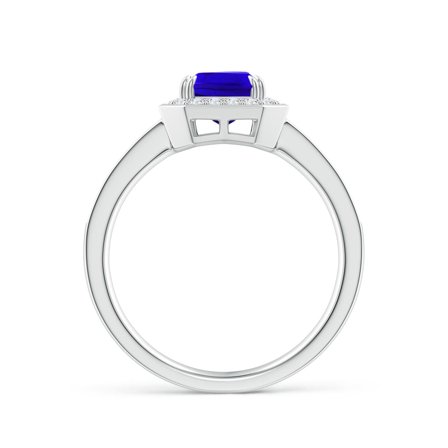 AAAA - Tanzanite / 1.79 CT / 14 KT White Gold