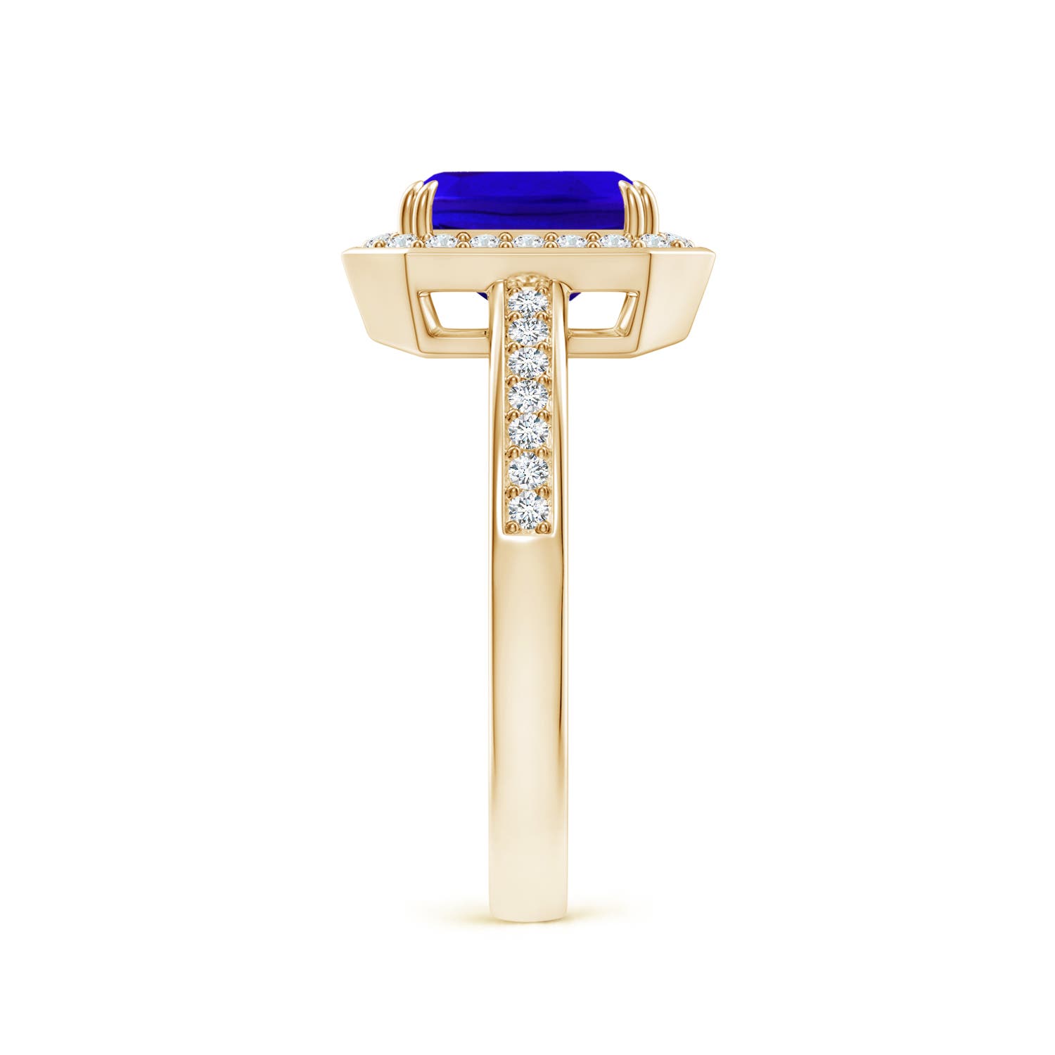 AAAA - Tanzanite / 1.79 CT / 14 KT Yellow Gold