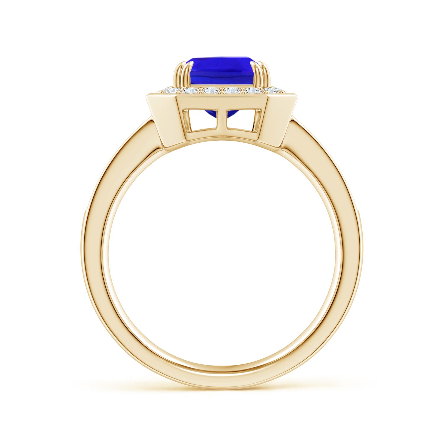 AAA - Tanzanite / 2.77 CT / 14 KT Yellow Gold