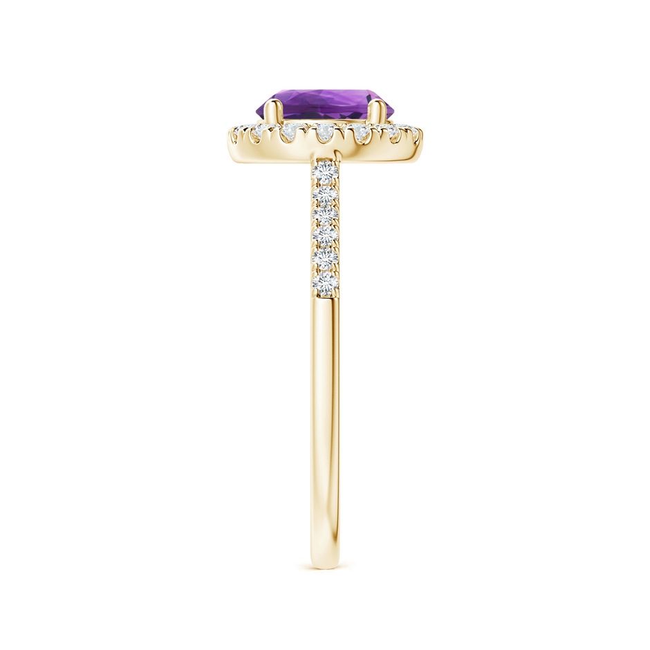 7mm AAA Round Amethyst Halo Ring with Diamond Accents in Yellow Gold side-2