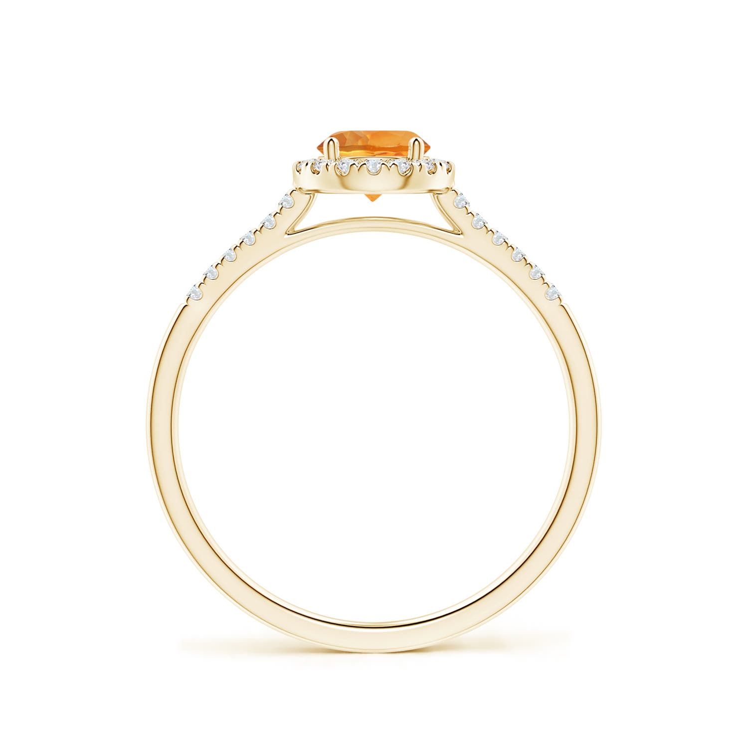 AAA - Citrine / 0.6 CT / 14 KT Yellow Gold