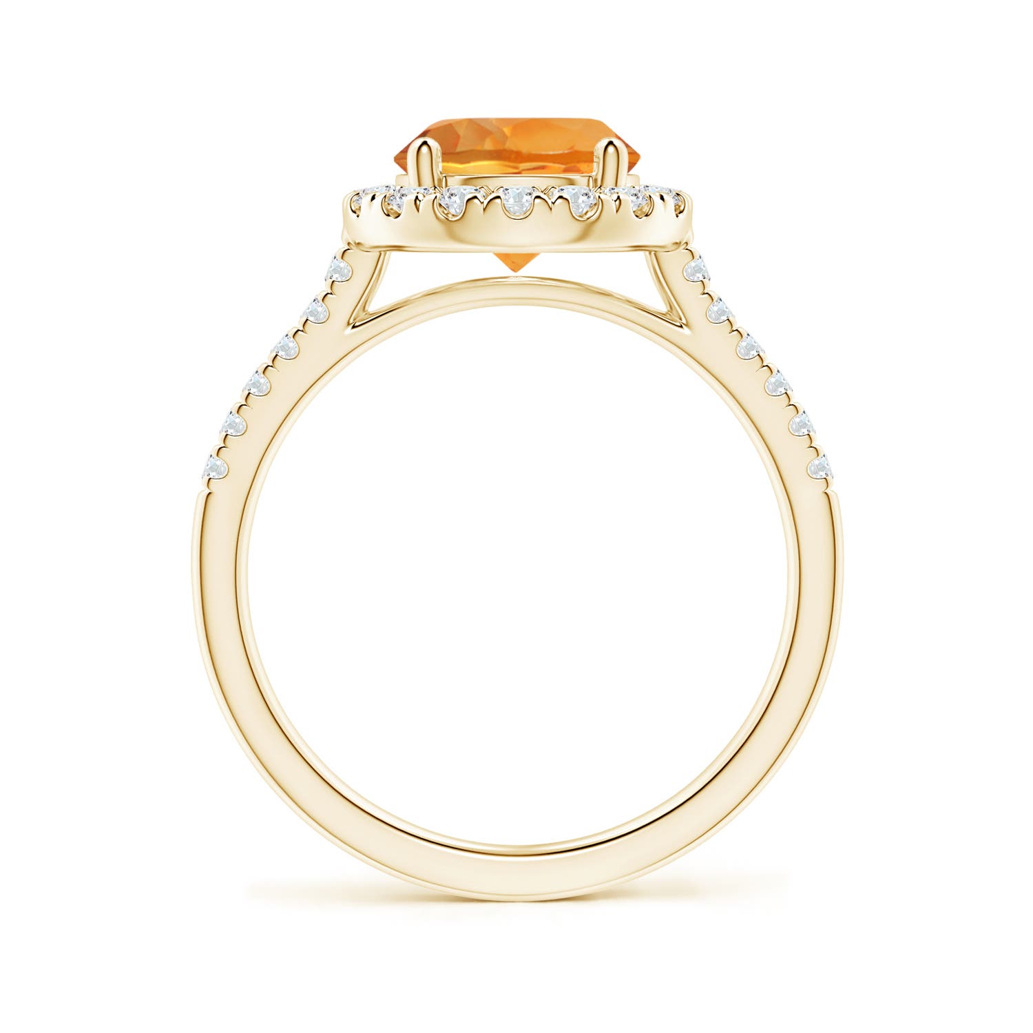 AAA - Citrine / 2.02 CT / 14 KT Yellow Gold