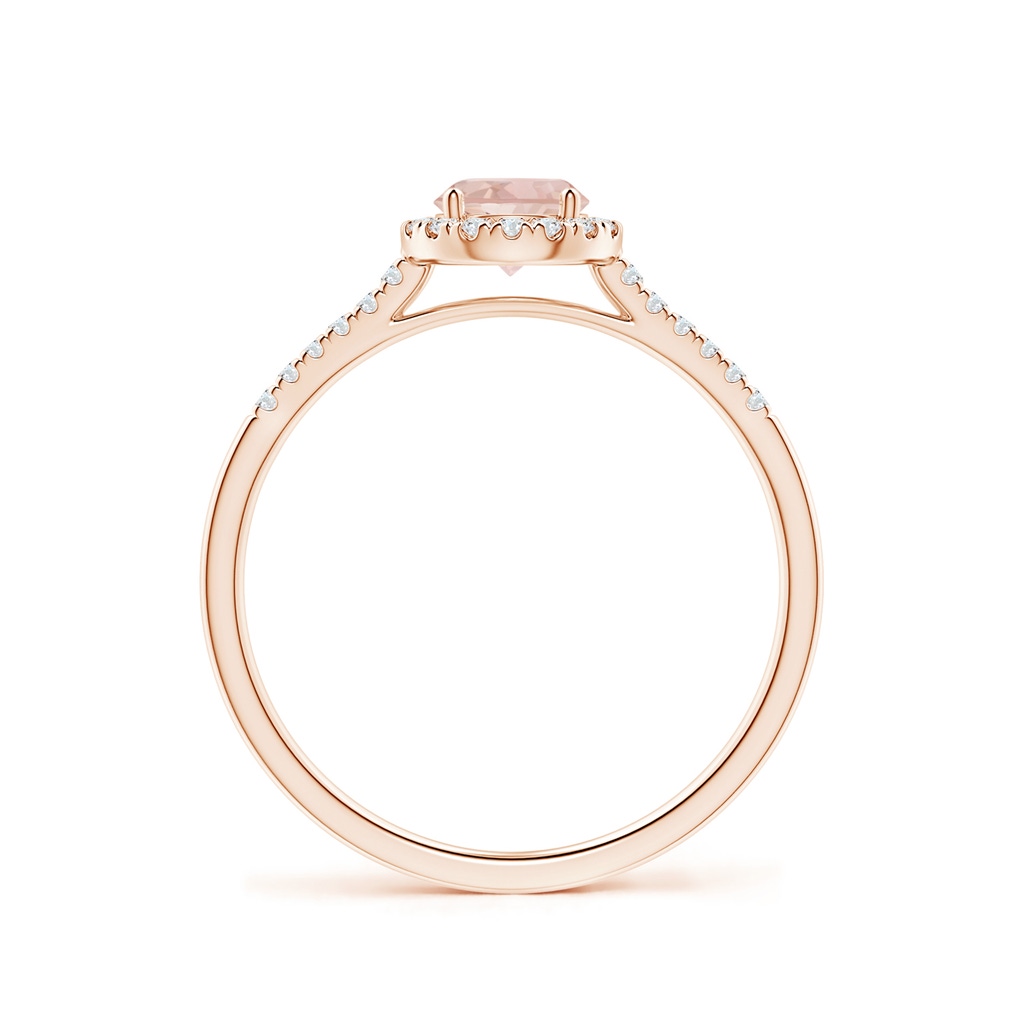 5mm AAA Round Morganite Halo Ring with Diamond Accents in 9K Rose Gold Side-1