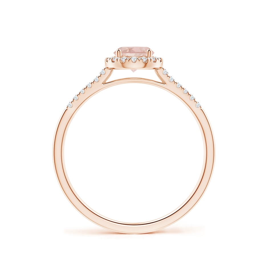 5mm AAA Round Morganite Halo Ring with Diamond Accents in 9K Rose Gold side-1