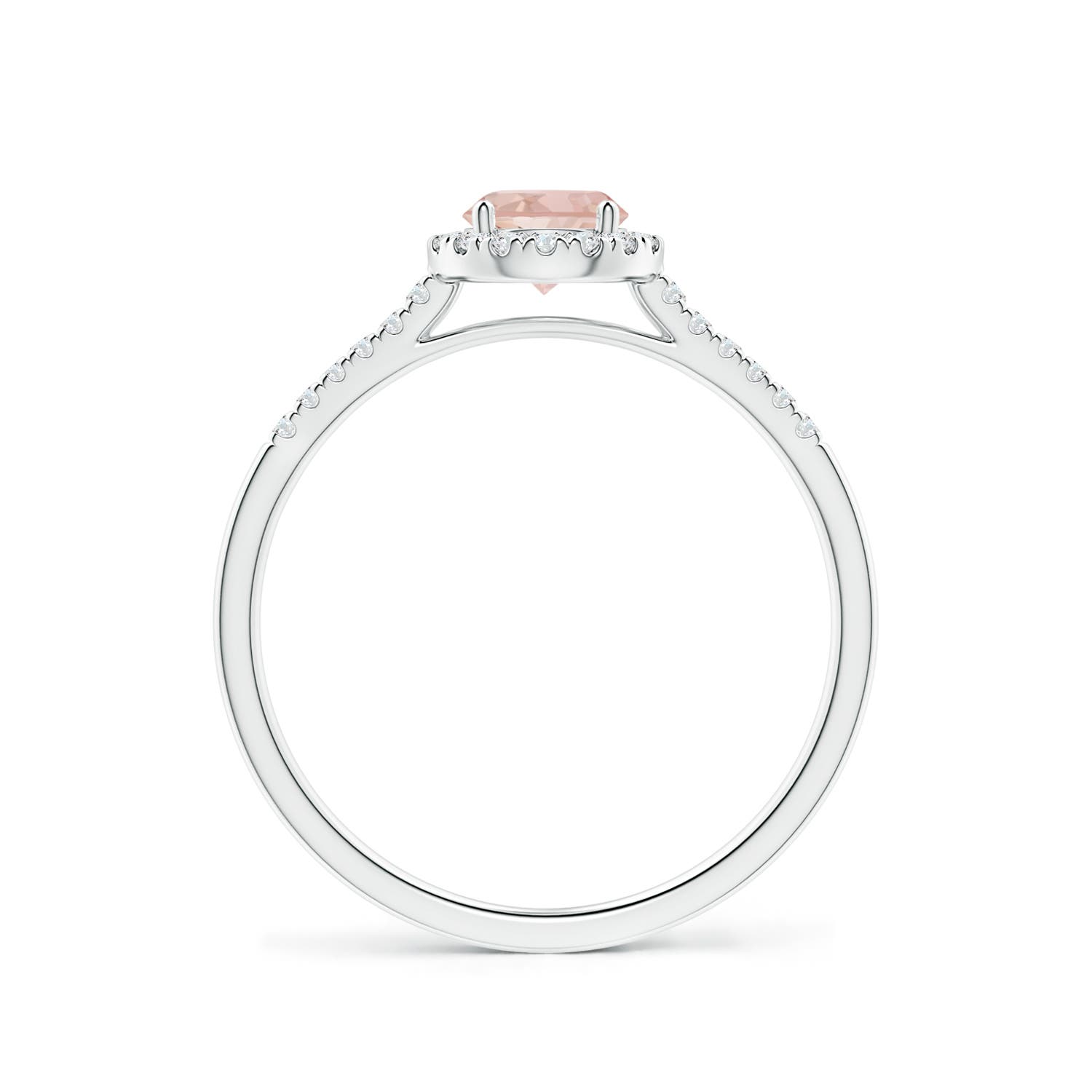 AAAA - Morganite / 0.57 CT / 14 KT White Gold