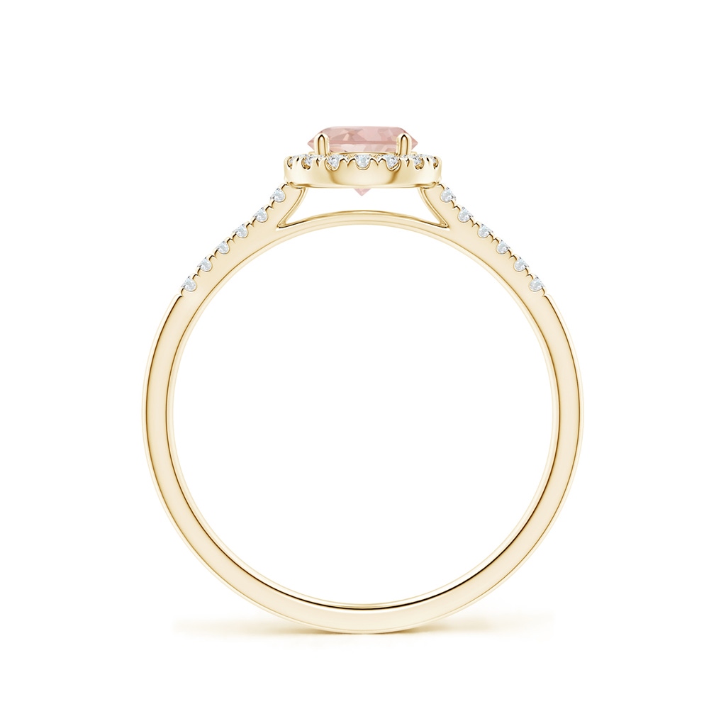 5mm AAAA Round Morganite Halo Ring with Diamond Accents in Yellow Gold - side_1