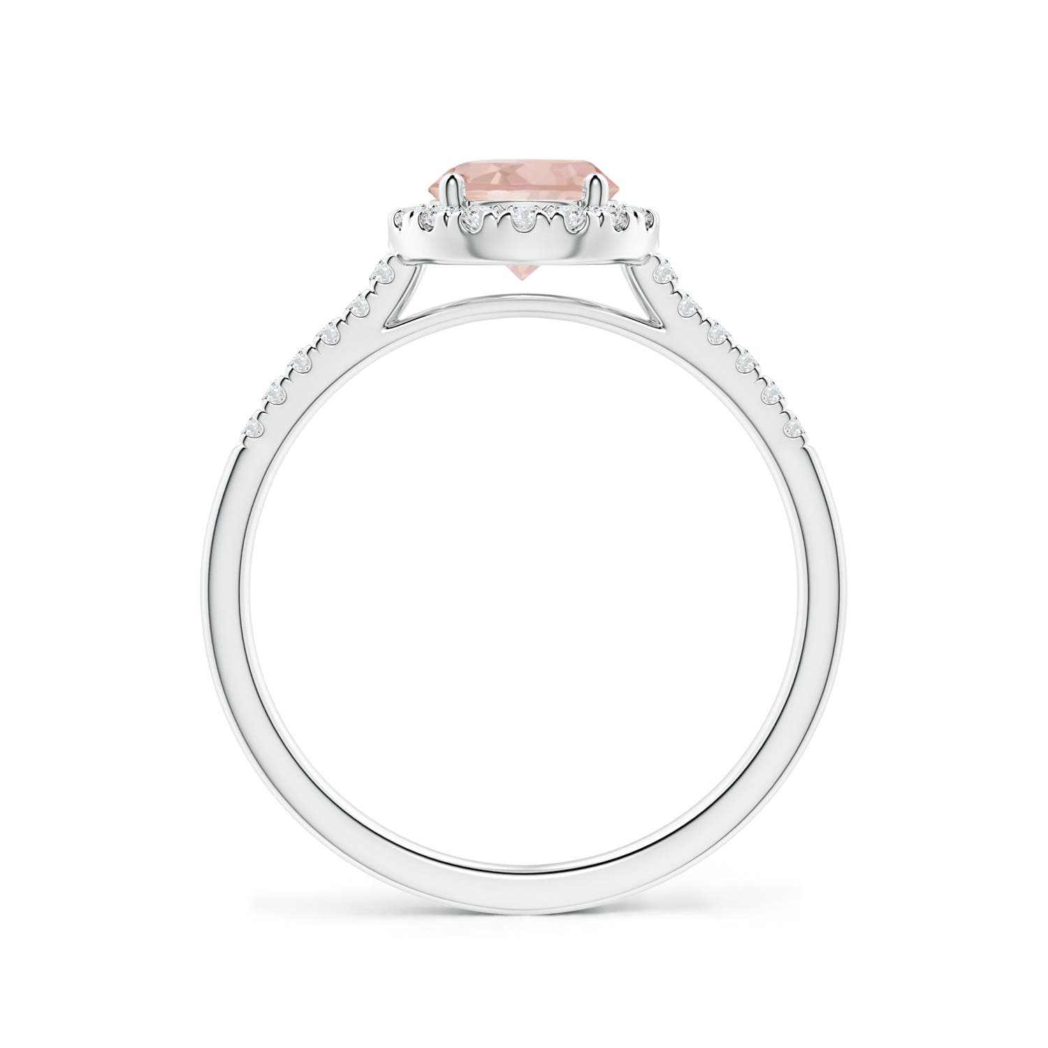 AAAA - Morganite / 0.9 CT / 14 KT White Gold