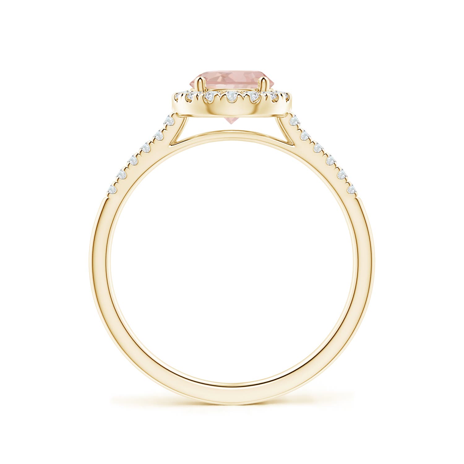 AAAA - Morganite / 0.9 CT / 14 KT Yellow Gold