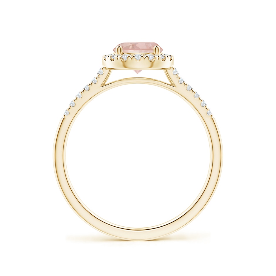 6mm AAAA Round Morganite Halo Ring with Diamond Accents in Yellow Gold side-1