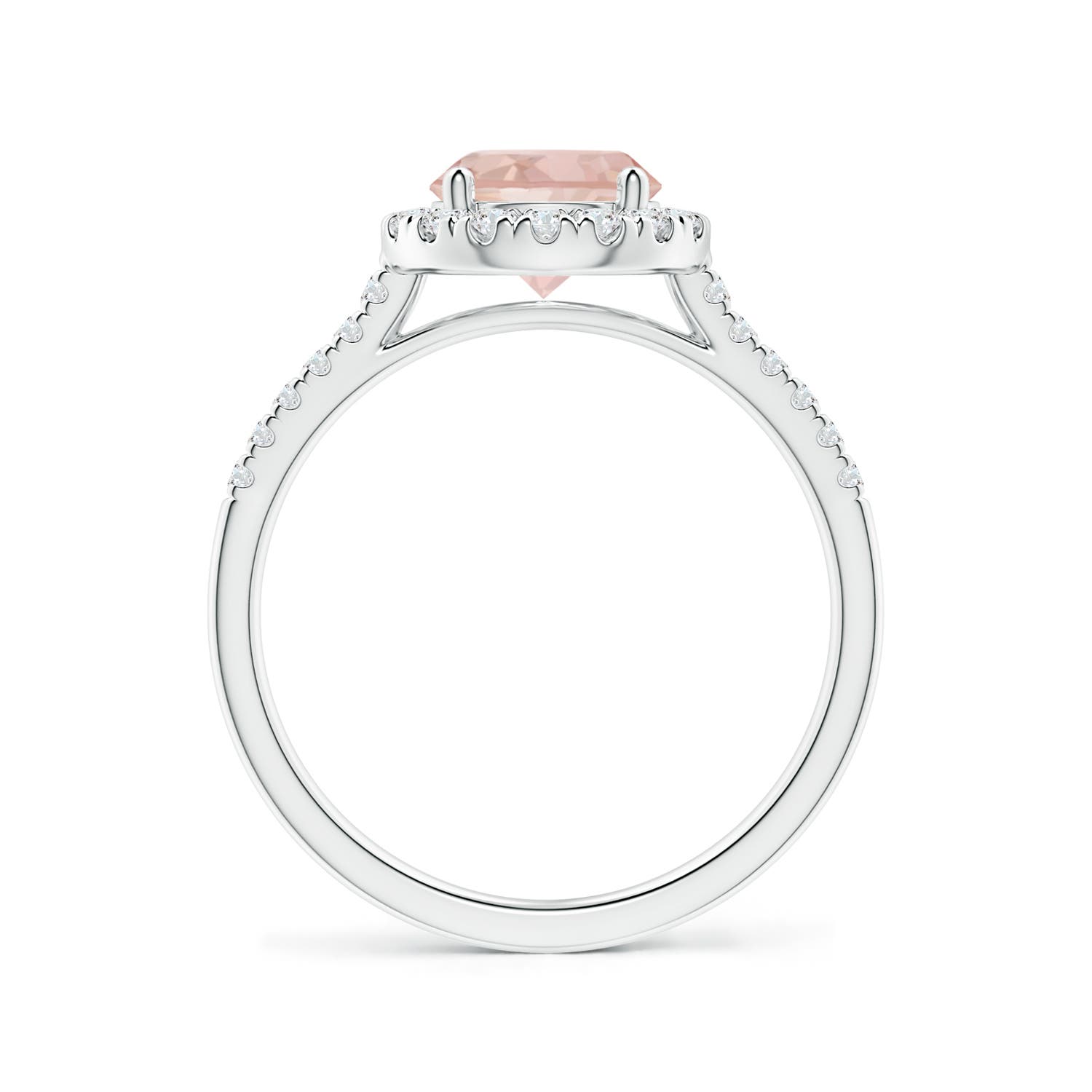 AAAA - Morganite / 1.39 CT / 14 KT White Gold