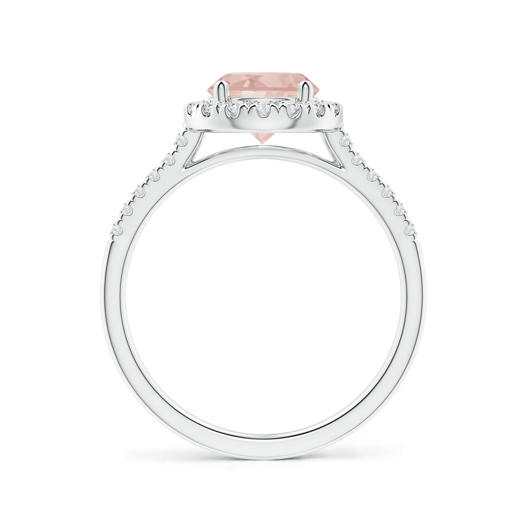 7mm AAAA Round Morganite Halo Ring with Diamond Accents in White Gold Side-1