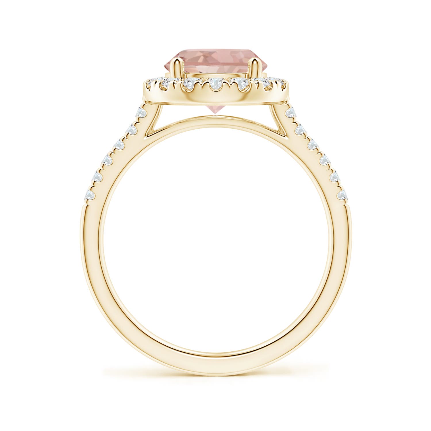 AAA - Morganite / 1.97 CT / 14 KT Yellow Gold